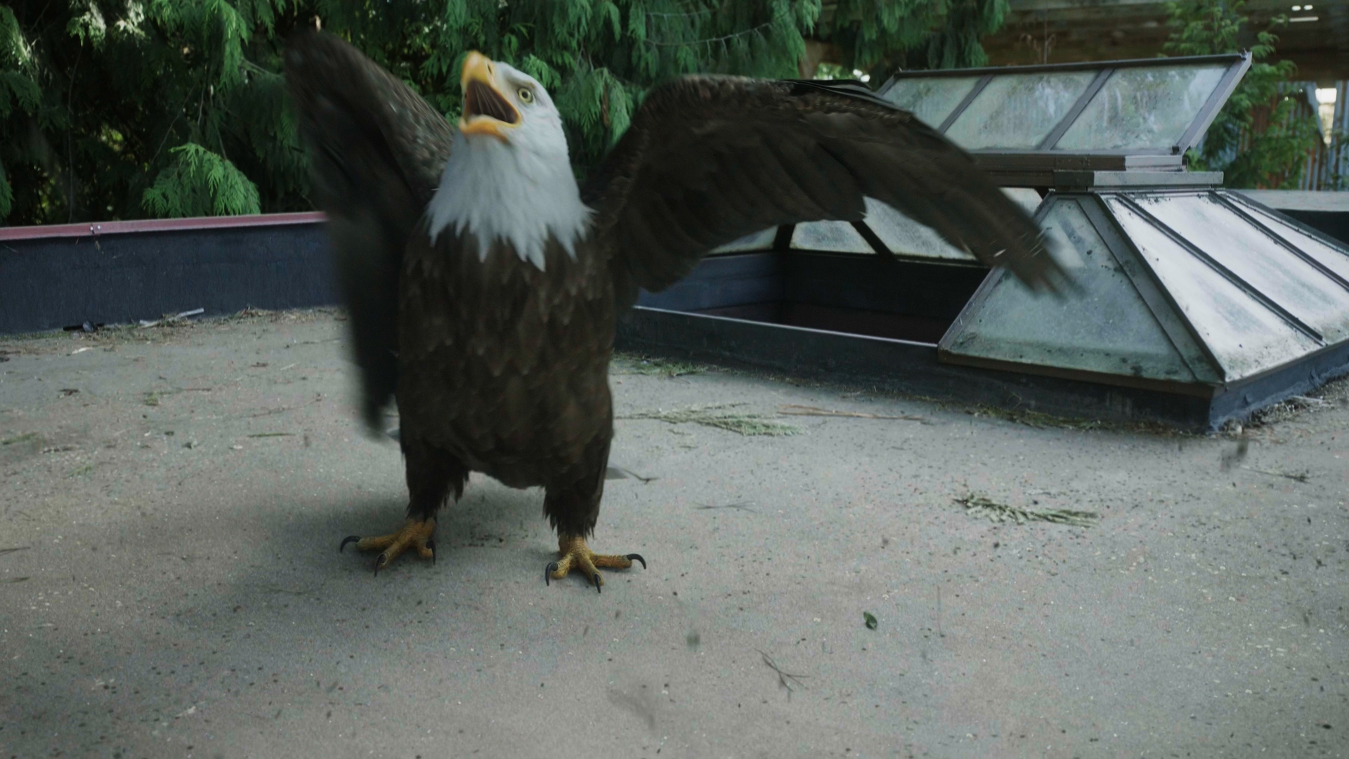 Still 2025 11 01 161911 1.6.3